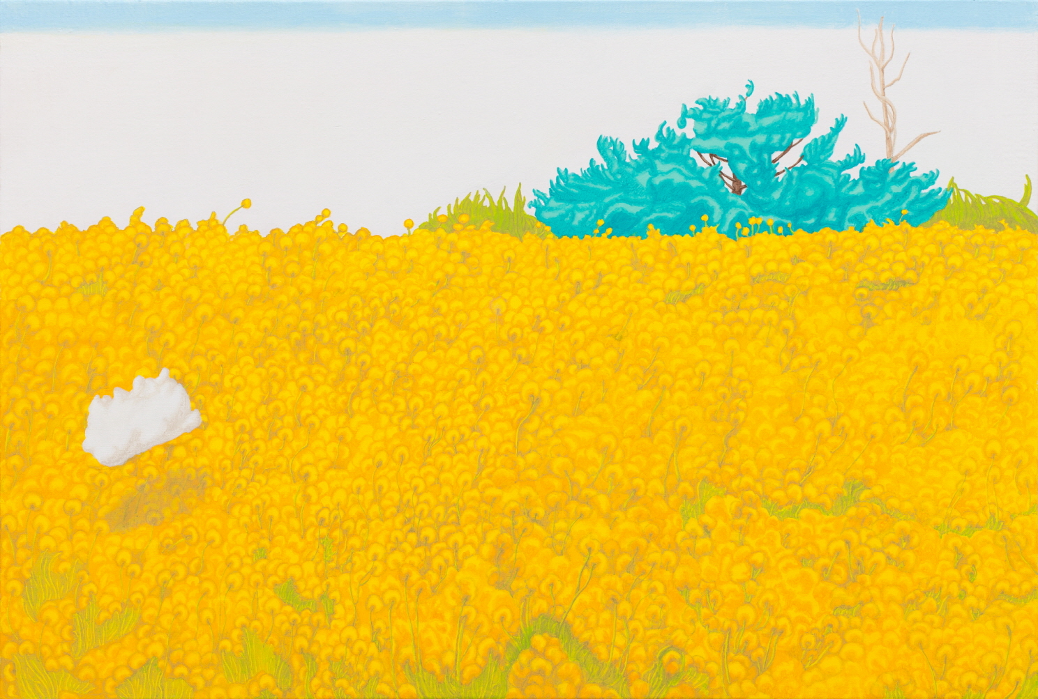 10. 우연한 구름, 캔버스에 아크릴, 61x91cm, 2014.jpg